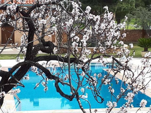 Vathí Mediterranean Garden Villa מראה חיצוני תמונה