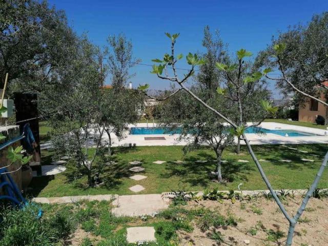 Vathí Mediterranean Garden Villa מראה חיצוני תמונה